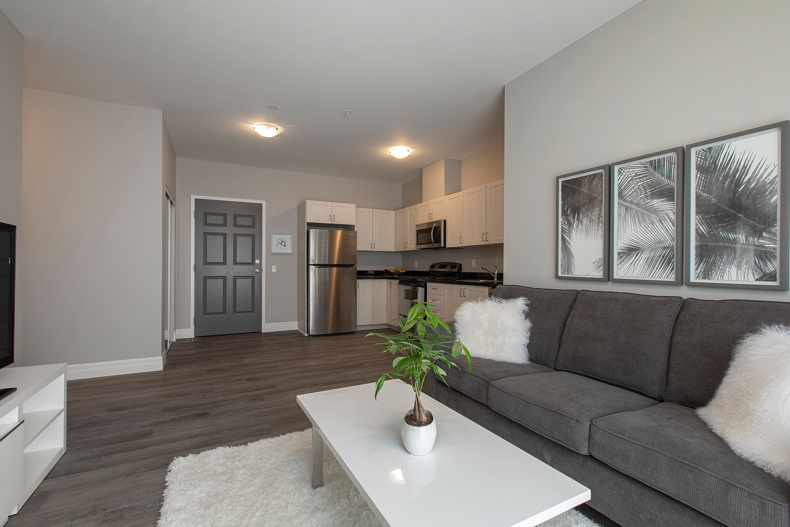 565 Princess Street new build student residence Kingston